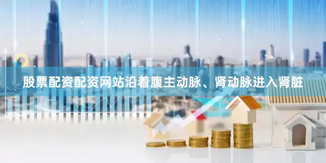 股票配资配资网站沿着腹主动脉、肾动脉进入肾脏