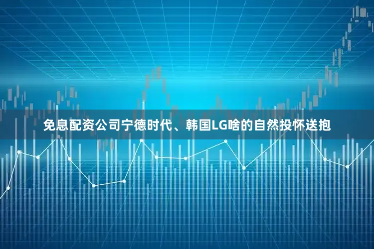 免息配资公司宁德时代、韩国LG啥的自然投怀送抱